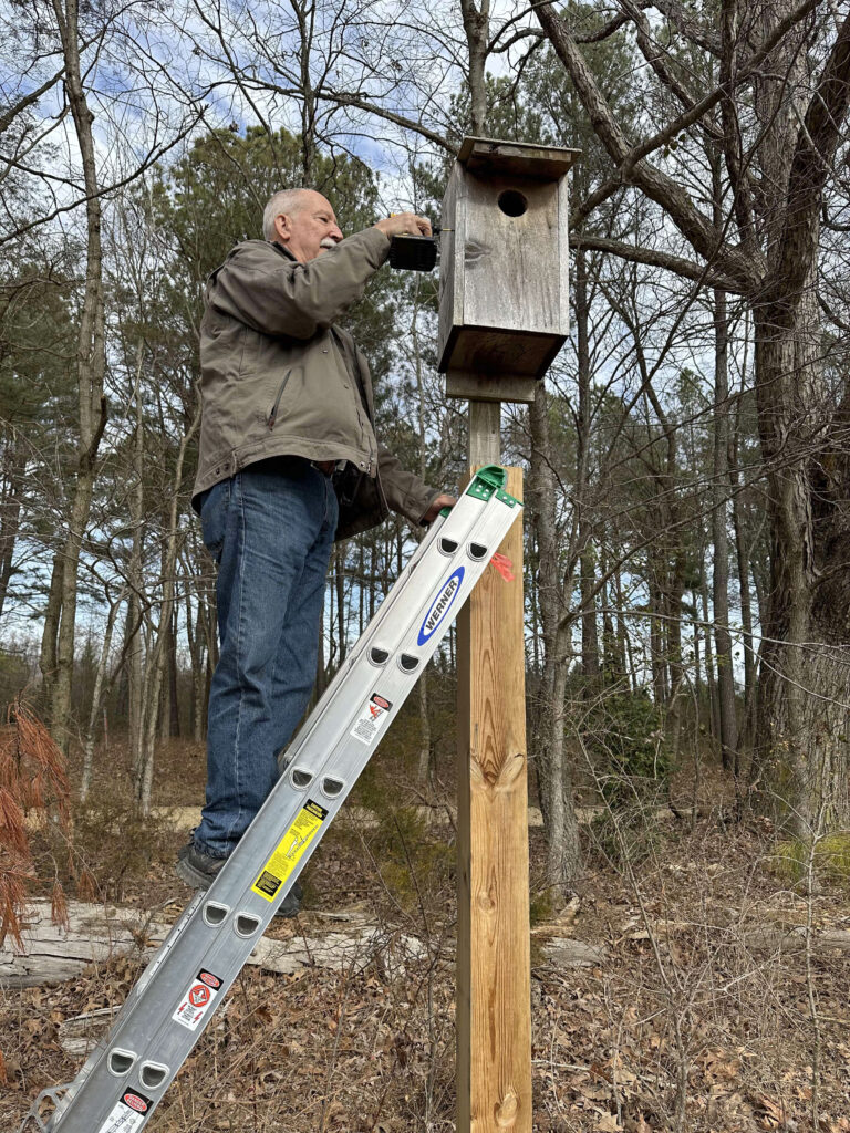 Kestrel box inspection Pat Davis